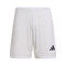 Spodenki adidas Squadra 25 II