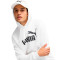 Bluza Puma Essentials Nie. 1 Logo