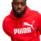 Bluza Puma Essentials Nie. 1 Logo