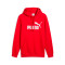 Bluza Puma Essentials Nie. 1 Logo