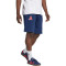 Bermudy adidas Arsenal FC 2025-2026 Odzież kibica