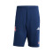 Bermudy adidas Arsenal FC 2025-2026 Odzież kibica