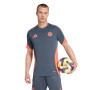 Fc Bayern 2025-2026 Trening-Bold Onix