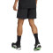 Spodenki adidas Aplikacja Tech Gfxsho