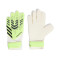 Rękawica adidas Trening Predator