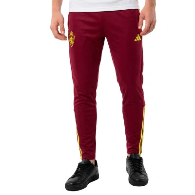 Długie spodnie Real Zaragoza Paseo Jugador 25-26