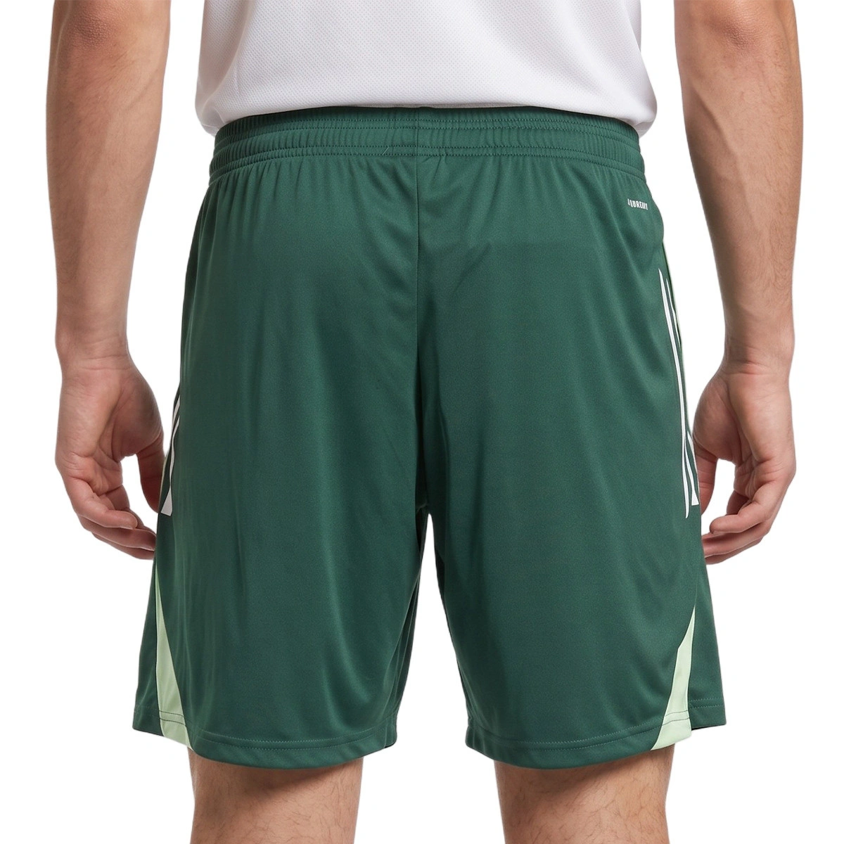pantalon-corto-adidas-real-zaragoza-entreno-portero-25-26-verde-1