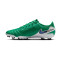 Buty piłkarskie Nike Tiempo Legend 10 Academy FG