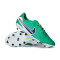 Buty piłkarskie Nike Tiempo Legend 10 Academy FG