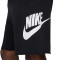 Spodenki Nike Absolwenci Klub