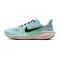 Buty Nike Pegasus 41