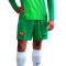 Spodenki Nike Fc Barcelona 2025-2026 Bramkarz Home