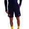 Spodenki Nike Fc Barcelona 2025-2026 Trening