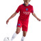 Spodenki Nike Psg 2025-2026 Trzecie