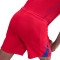 Spodenki Nike Psg 2025-2026 Trzecie