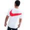 Koszulka Nike PSG 2025-2026 Odzież kibica