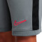 Spodenki Nike Academy 25 Niño