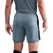Spodenki Nike Academy 25