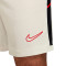 Spodenki Nike Akademia 25