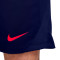 Spodenki Nike Strike