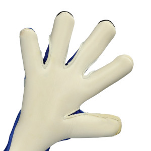 DŁOŃ-1