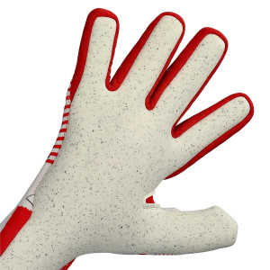 DŁOŃ-1