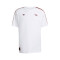 Koszulka adidas Arsenal Fc Icons Odzież kibica 2025-2026