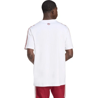 Koszulka Arsenal Fc Icons Odzież kibica 2025-2026