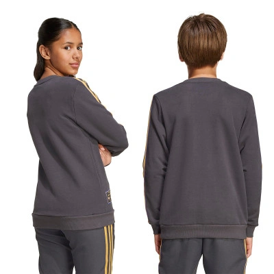 Bluza Manchester United Fanswear Icons Odzież Kids 2025-2026