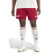 Spodenki adidas Strój trzeci Arsenal FC 2025-2026