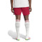 Spodenki adidas Strój trzeci Arsenal FC 2025-2026