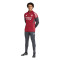 Długie spodnie adidas Trening Arsenal Fc 2025-2026