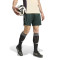 Spodenki adidas Juventus Trening 2025-2026