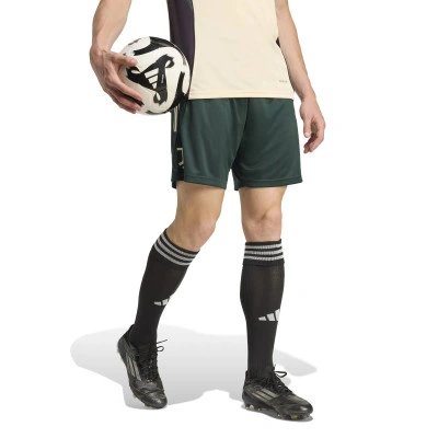 Spodenki Juventus Trening 2025-2026