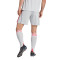 Spodenki adidas Olympique Lyon 2025-2026 Trzecie