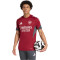 Koszulka adidas Arsenal FC 2025-2026 Trening