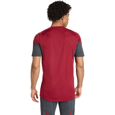 Koszulka Arsenal FC 2025-2026 Trening