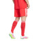 Spodenki adidas Fc Bayern 2025-2026 Trzeci