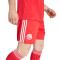 Spodenki adidas Fc Bayern 2025-2026 Trzeci