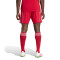 Spodenki adidas Liverpool Fc 2025-2026 W domu