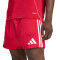 Spodenki adidas Liverpool Fc 2025-2026 W domu
