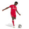 Spodenki adidas Liverpool Fc 2025-2026 W domu