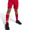 Strój adidas Liverpool Fc 2025-2026 dla Kids w domu