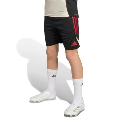 Spodenki Liverpool FC 2025-2026 Trening