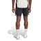 Spodenki adidas Liverpool Fc 2025-2026 Trening