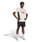 Spodenki adidas Liverpool Fc 2025-2026 Trening