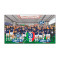 Drewniane puzzle Fc Inter Milan 20Th Scudetto (150 elementów)