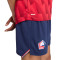 Koszulka New Balance Lille 2025-2026 Strona główna