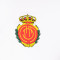 Bluza Nike RCD Mallorca 2025-2026 Gracz dla Kids