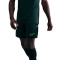 Spodenki Nike Academy 25 Dri-FIT Br